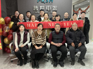Baoding Push Electrical Manufacturing Co., Ltd. Celebrates Year-End Success with Joyous Annual Gathering
